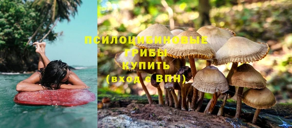 эйфоретик Алексин